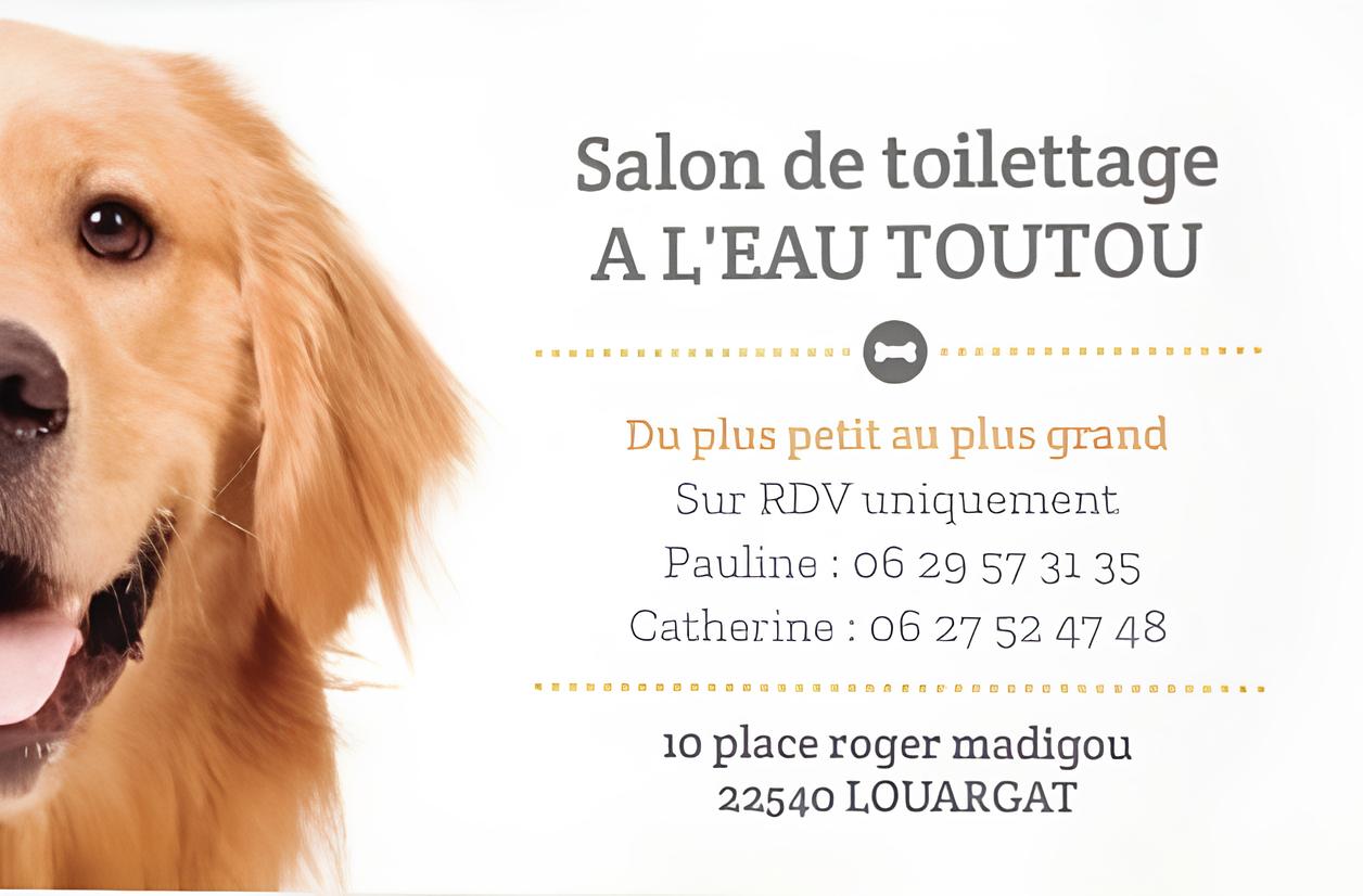 La Socquette Légère - A l'eau toutou
